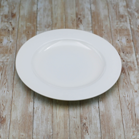 PROFESSIONAL DINNER PLATE 11" | 28 CM